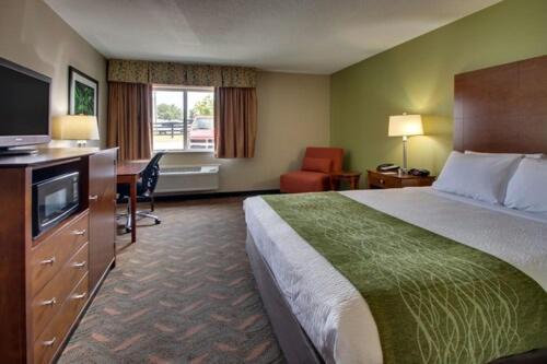 King Room,718014811:JPEG